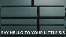 a sign that says `` say hello to your little sis '' on a wall .