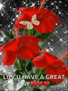 Red Flowers GIF - Red Flowers Butterfly GIFs