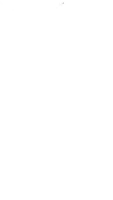 a white background with a small star in the middle of it .