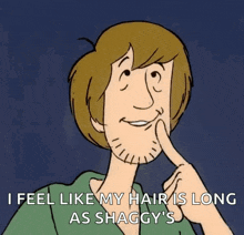 Shaggy Scoobydoo GIF - Shaggy Scoobydoo Gang GIFs