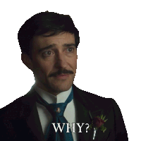 a man in a suit and tie is asking the question " why "