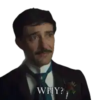 a man in a suit and tie is asking the question " why "