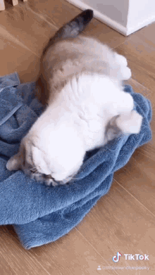 Pooky Cute Cat GIF - Pooky Cute Cat Cute GIFs