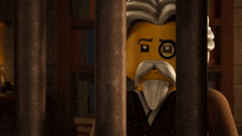 a lego man with glasses and a beard looks out from behind bars