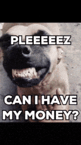 1of1payout Money GIF - 1of1payout Money Pay Me GIFs