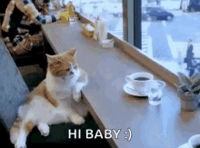 Cat Bored GIF - Cat Bored Cafe GIFs