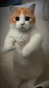 Created By Ashk GIF - Created By Ashk GIFs