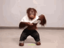 Hey Baby Orangutan GIF - Hey Baby Orangutan Taking Off Shirt GIFs