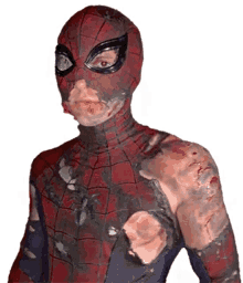 Herve Spiderman GIF - Herve Spiderman Destroyed GIFs