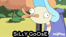 Silly Goose GIF - Silly Goose Silly GIFs
