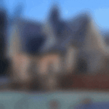a blurry picture of a man 's head with a building in the background