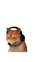 a dog wearing headphones with a microphone attached to its head
