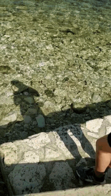 a person 's shadow is cast on a stone wall next to the water