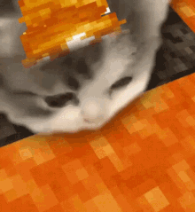 GIF