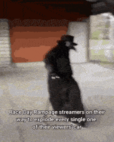 Race Day Rampage Plague Doctor GIF - Race Day Rampage Plague Doctor Streamers GIFs