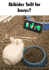 a picture of a rabbit with the words skibider toilt for buuys on the bottom