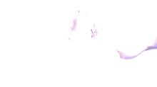a close up of a drawing of a lion 's head on a purple and white background