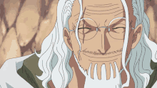 One Piece Rayleigh Rayleigh GIF - One Piece Rayleigh Rayleigh Amazon Lily GIFs