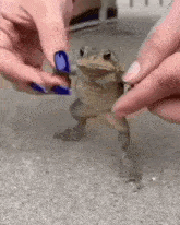 a person is holding a frog with their fingers .