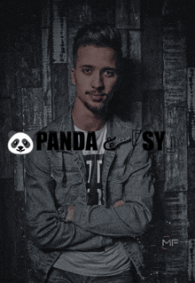 Pandasy Error GIF - Pandasy Error Pandatango GIFs