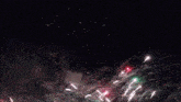 a bunch of fireworks are going off in the dark sky