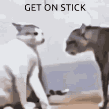 Sh Stick GIF - Sh Stick GIFs
