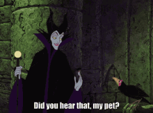 Did You Hear That Sleeping Beauty GIF - Did You Hear That Sleeping Beauty Maleficent GIFs