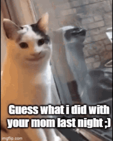 Beluga Cat Guess What I Did With Your Mom Last Night GIF - Beluga Cat Guess What I Did With Your Mom Last Night GIFs