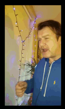 a man in a blue polo shirt is standing in front of christmas lights