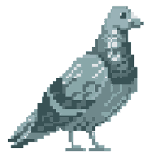 pombooperario pombo psicodeira pigeon
