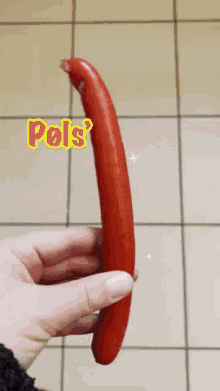GIF