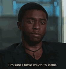Realpanther2 Black Panther GIF - Realpanther2 Black Panther GIFs