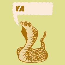 Oh Yassss GIF - Snake Yas Cobra GIFs