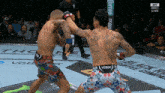 two men are fighting in a boxing ring and one has venum on his shorts