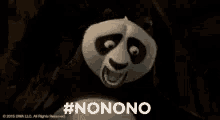 Kung Fu Panda No No No GIF