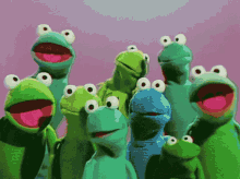Muppets Frog GIF