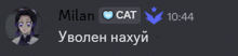 a screenshot of a chat with milan cat and 10:44