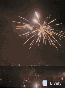 Fireworks Happy New Year GIF - Fireworks Happy New Year Celebrate GIFs