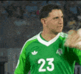 a man wearing a green jersey with the number 23