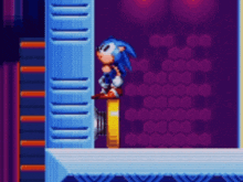 sonic the hedgehog and tails the fox are playing a video game together .
