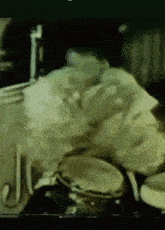 GIF