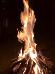 Fire Hot GIF - Fire Hot Warm GIFs