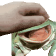 a person is petting a frog with its mouth open on a white background .