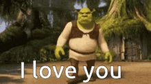 I Love You Shrek GIF - I Love You Shrek What Can I Say GIFs