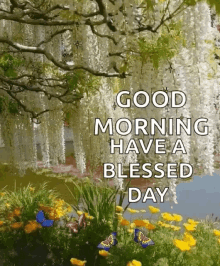 Good Morning GIF - Good Morning Forest GIFs