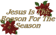Jesus Reason GIF - Jesus Reason GIFs