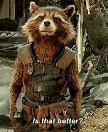 Rocket Racoon Is That Better GIF - Rocket Racoon Is That Better Gotg GIFs
