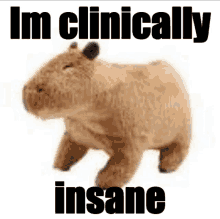 a stuffed animal with the words " im clinically insane " above it