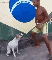 samba dog