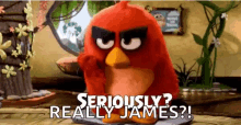 Seriously Red GIF - Seriously Red Angry Birds GIFs